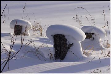 White caps