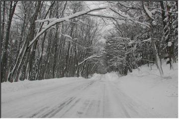 Covered trail