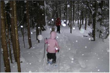 Young adventurers