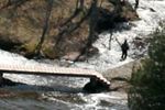 Fishing the river