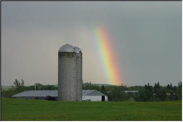 The pot of gold