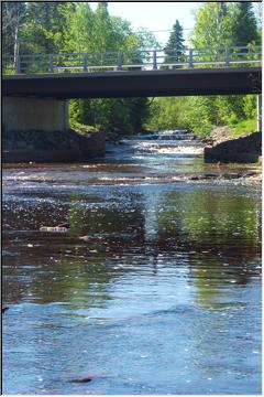 Under the bridge