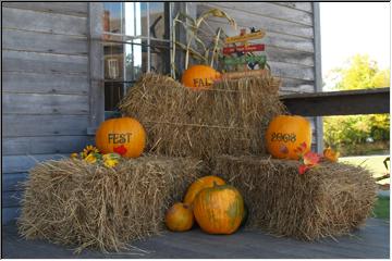 Autumn decorations