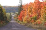 Colorful lane