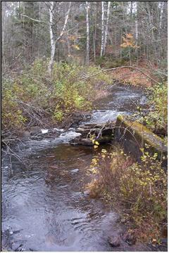 River runs through