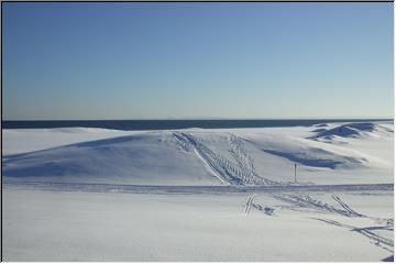 Tracks on the sands