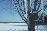 Looking out at the Big Lake