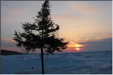 Evening light