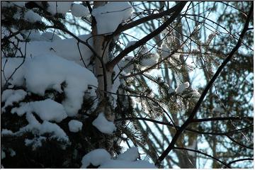 Puffy snow