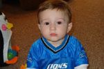 Lion fan