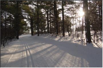 Two track trail