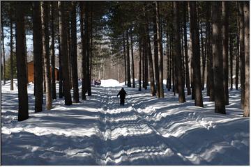 Covered trail