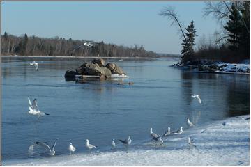 Running river