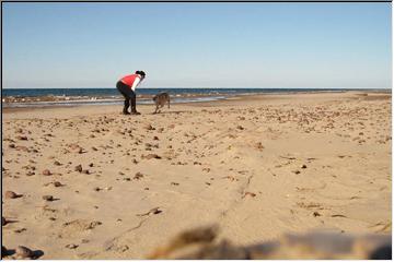 Beach play