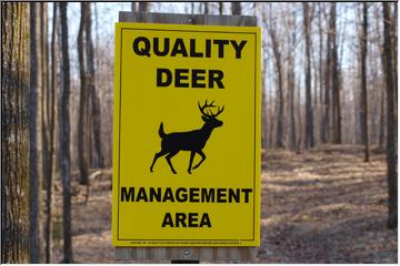 Deer area