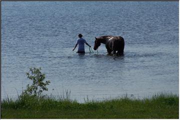 Wading in