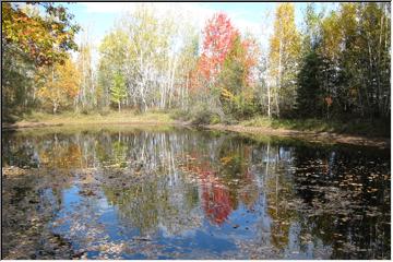 Northern reflections