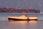 Following the fishermen