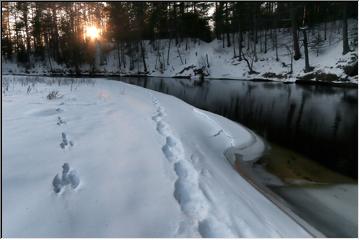 Evening walk