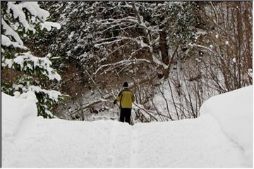 Cross country skiing