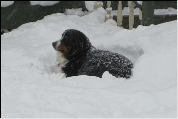 Watching the snow fall