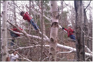 Climbers