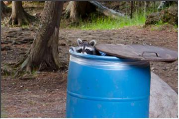 What's that in the garbage can?