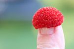 Thimbleberry cap