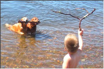 A boy and his dogs