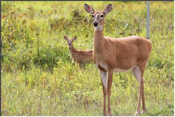 Mom and baby