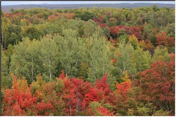 Fall beginnings