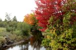 River Beauty