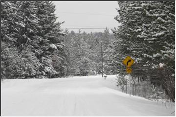 Country road