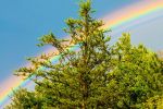 Over the rainbow