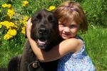 Hugs