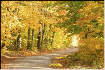 Covered trail