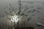 Dreary day
