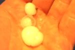 Summer hail