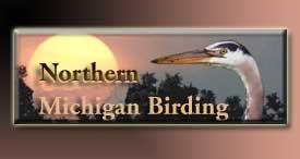 Northern Michigan Birding