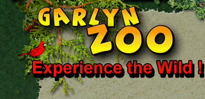 Garlyn Zoo