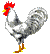 chicken image